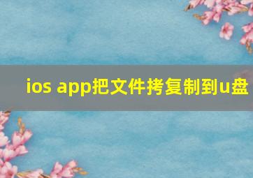 ios app把文件拷复制到u盘